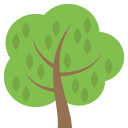 deciduous tree