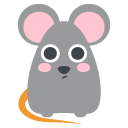 rat